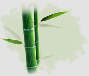 ���� ������� ���ֺ��� ����Ǯ�� �����ߺ��°� ��¥���� ������� ���ֿ ����� ���� � �����Ѱ�